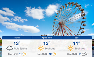 Météo Toulouse: Prévisions du samedi 14 décembre 2019