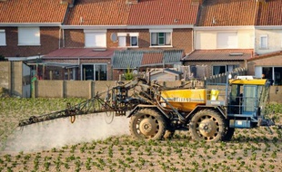 Un fermier utilise du pesticide sur un champ de pommes de terre dans le nord de la France