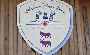 Logo de la bourgade de Salies de Béarn, dans le sud-ouest de la France, le 7 juillet 2016