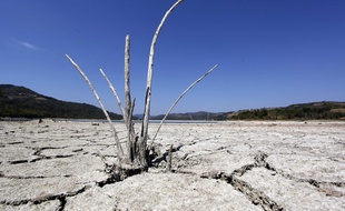 Les canicules en 2016 sont le résultat du réchauffement climatique provoqué par l'homme.