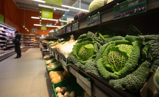 Illustration, choux d'un rayon fruits et legumes dans une grande surface.