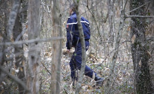 Un gendarme menant des recherches dans un bois. Illustration