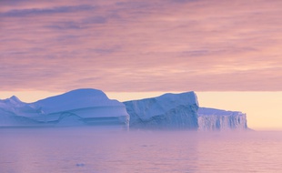Des icebergs au Groenland (illustration).