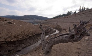Des pluies trop rares, peu de neige, des cultures qui pointent à peine ou sèchent sur pied, des incendies de forêt précoces: les clignotants sont au rouge en Espagne où agriculteurs et éleveurs s'inquiètent au sortir de cet hiver, le plus sec depuis 70 ans.