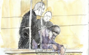La réclusion à perpétuité, assortie d'une période de sûreté de 22 ans, a été requise jeudi devant la cour d'assises de Paris contre le chauffeur de taxi clandestin Bruno Cholet, pour le meurtre en 2008 d'une étudiante suédoise, Susanna Zetterberg.