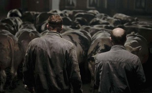 Image extraite du film Bullhead.