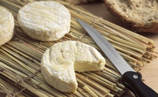 Illustration de fromages Saint-Marcellin.