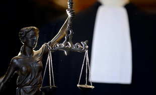 Un jeune homme a été condamné mercredi à Versailles à huit mois d'emprisonnement avec sursis pour avoir enterré sa chienne vivante, sa laisse lestée de pierres, en 2015, dans les Yvelines