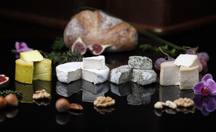 Ces nouveaux fromages vegan sont conçus à Sarralbe, en Moselle.