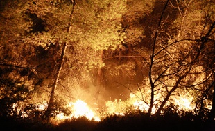 Les flammes ont ravagé plusieurs campings