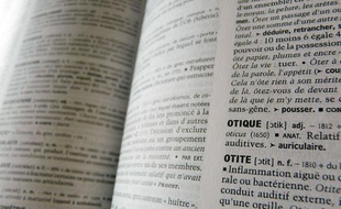 Illustration dictionnaire.