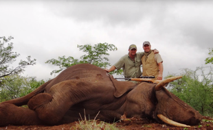 Pascal Olmeta a pris part à une chasse à l'éléphant en 2012