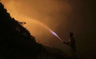 Des volontaires combattent les flammes par tous les moyens à Obidos, au Portugal.