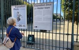 Zeus, le cheval de la cérémonie des JO de Paris, est enfin arrivé à Nantes