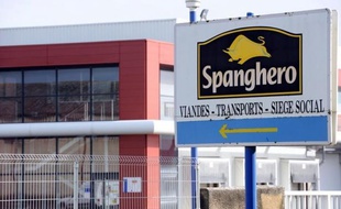 Seuls 80 des 240 salariés de Spanghero ont actuellement du travail, a indiqué mercredi à l'AFP Barthélémy Aguerre, le PDG de la société de Castelnaudary (Aude) au coeur du scandale de la viande de cheval, laissant augurer la mise en place éventuelle d'un plan social.