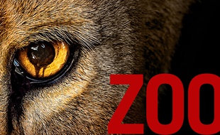 Affiche promotionnelle pour la série Zoo.