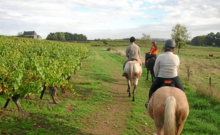 La découverte du vignoble à cheval est l'une des possibilités offertes.
