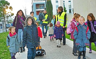 Les " cars à pattes connaissent " un vif succès dans la région.
