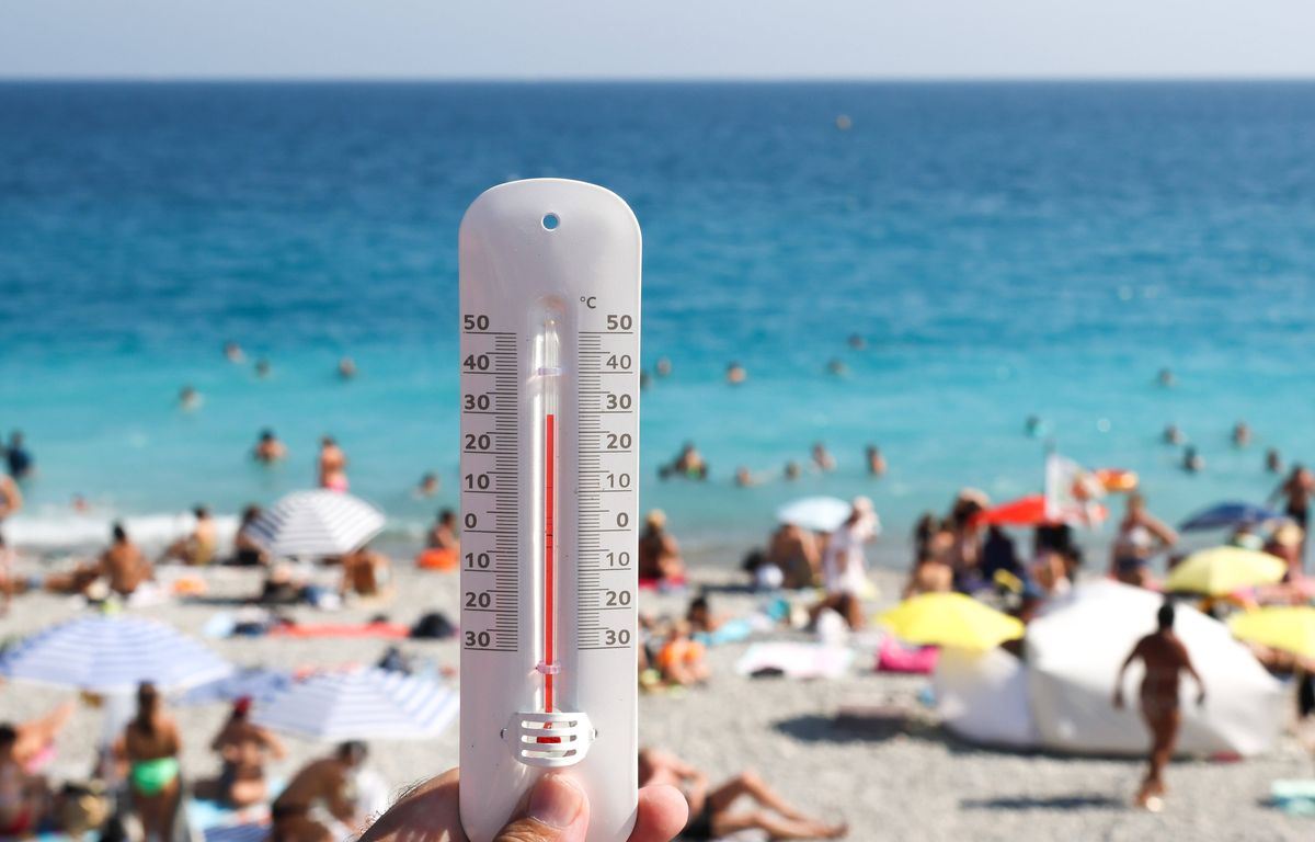 Climat La mer Méditerranée bat un record de température médiane