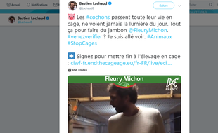 Une vidéo tournée de nuit par l'association animaliste DxE dans un élevage porcin des Côtes-d'Armor, dans laquelle le député LFI Bastien Lachaud apparaît, suscite de vives réactions du monde agricole.