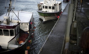 Des bateaux de pêche français (illustration).