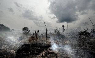 La fumée des incendies de forêt et de brousse provoque 339.000 décès en moyenne par an dans le monde, selon une étude sans précédent présentée samedi à une conférence scientifique, des experts prédisant un fort accroissement de ces feux dans l'avenir à cause du réchauffement climatique.