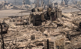 Incendies en Californie: Le bilan s'alourdit à 631 disparus et 63 morts 310x190_no-caption