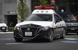 La police découvre un meurtre derrière une mort attribuée à un ours au Japon