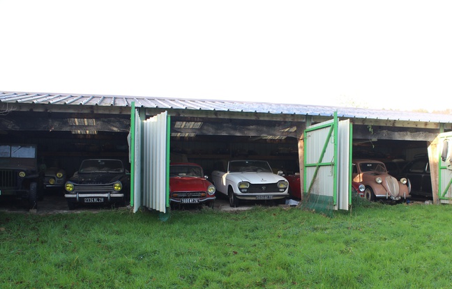 hangar pour voiture