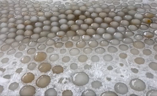 Capture d'écran Youtube du phénomène des « œufs de glace »