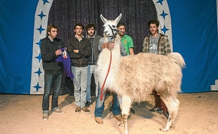 Le lama avait été soustrait au cirque par cinq étudiants un peu éméchés.